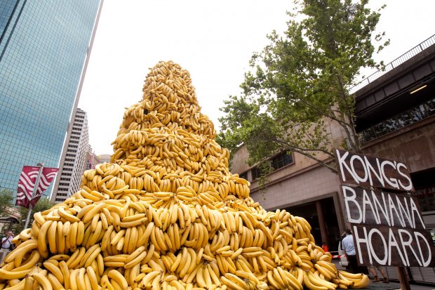 Banana Hoard in Sydney, Australia